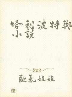 哈利波特与密室小说