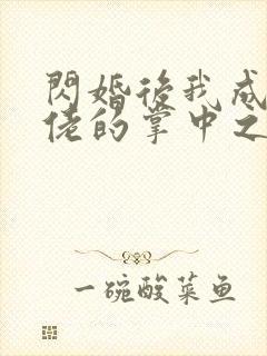 闪婚后我成了大佬的掌中之物无删减