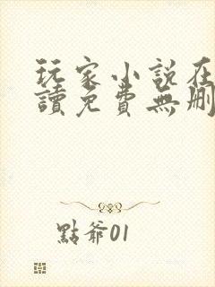 玩家小说在线阅读免费无删减全文