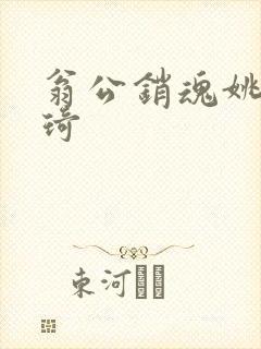 翁公销魂姚瑶琦琦封面