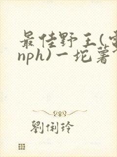 最佳野王(电竞nph)一坨薯饼