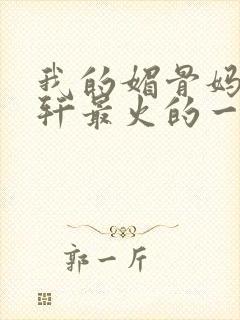 我的媚骨妈妈林轩最火的一句