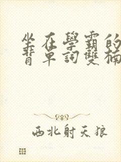 坐在学霸的鸡上背单词双楠封面