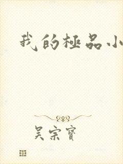 我的极品小姨封面