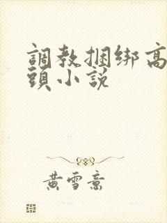 调教捆绑高潮乳头小说
