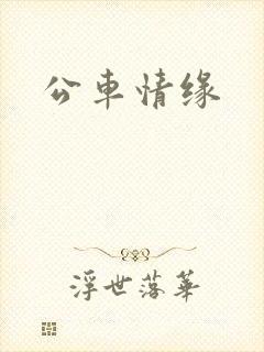 公车情缘