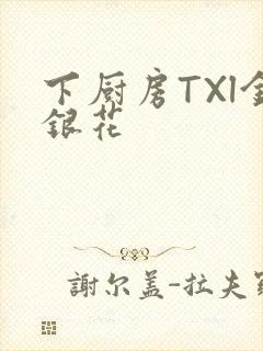 下厨房TXl金银花