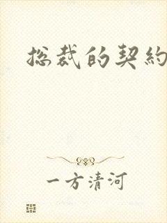 总裁的契约情人