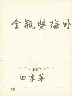 金瓶双梅外传封面