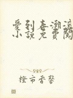 爱到春潮滚滚来小说免费阅读