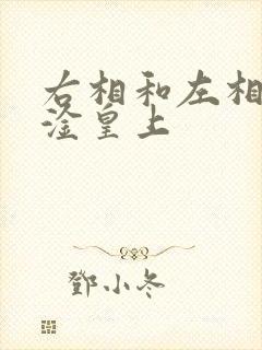 右相和左相一起淦皇上