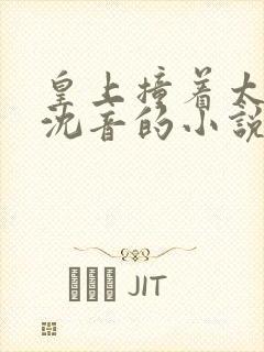 皇上撞着太子妃沈音的小说叫什么