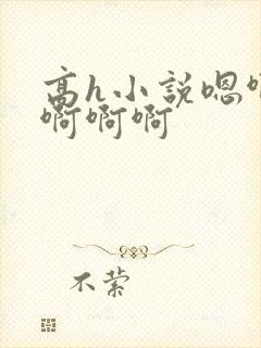 高h小说嗯啊哈啊啊啊