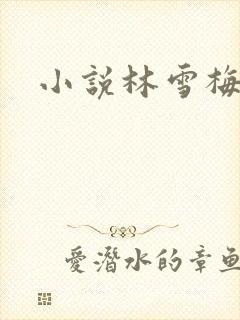 小说林雪梅封面