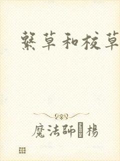 系草和校草封面