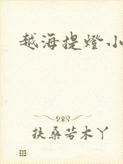 越海提灯小豆子封面