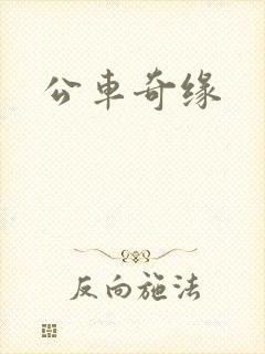 公车奇缘