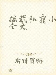 总裁私宠小娇妻全文