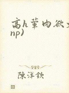 高h荤肉欲文(np)