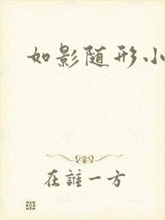 如影随形小说封面