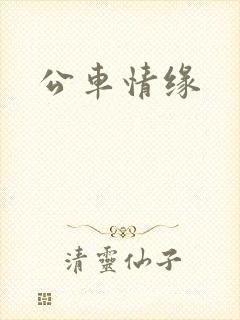 公车情缘