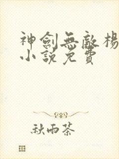 神剑无敌杨小天小说免费