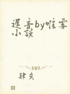 迟音by唯雾的小说