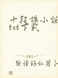 十段锦小说全本txt下载封面