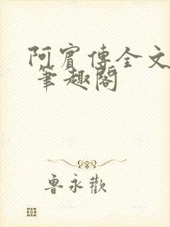 阿宾传全文阅读 笔趣阁