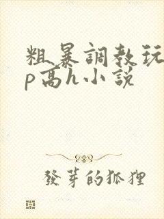 粗暴调教玩弄np高h小说