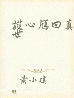 护心雁回真实身世封面