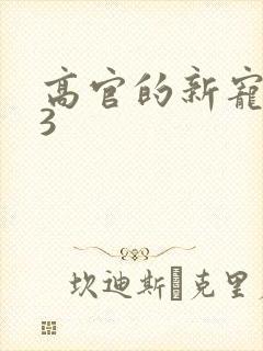 高官的新宠1V3封面