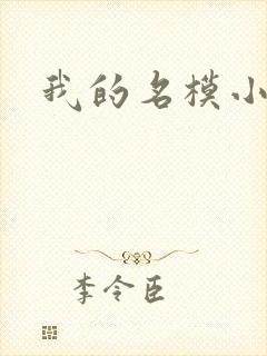 我的名模小娇妻封面