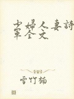 少妇人妻诗雨小军全文
