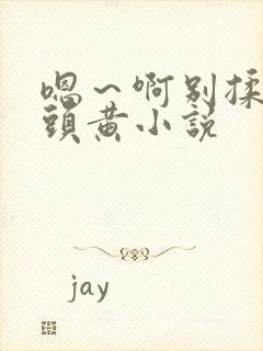 嗯～啊别揉我奶头黄小说