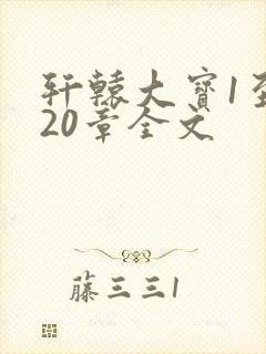 轩辕大宝1至720章全文封面