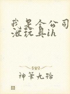 我是全公司的发泄玩具ih