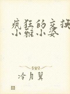 疯狂的交换小静小雅小姿