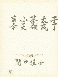 宁小茶太子殿下今天破戒了吗免费阅读