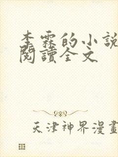 李霖的小说免费阅读全文