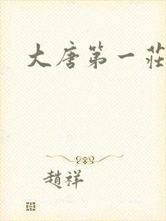 大唐第一庄封面
