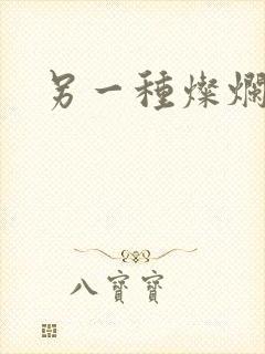 另一种灿烂生活