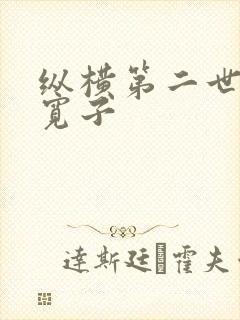 纵横第二世界 宽子