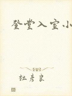 登堂入室小说封面