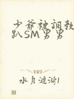 少爷被调教室跪趴SM男男