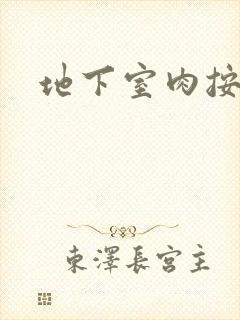 地下室肉按摩椅