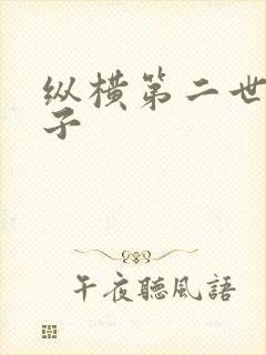 纵横第二世界宽子