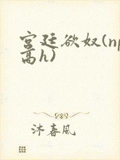 宫廷欲奴(np高h)