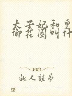 太子妃和皇帝在御花园叫什么小说