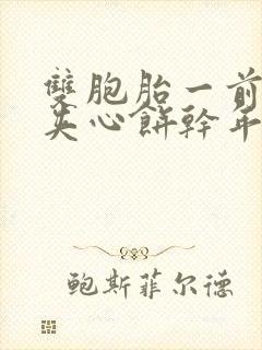 双胞胎一前一后夹心饼干年下